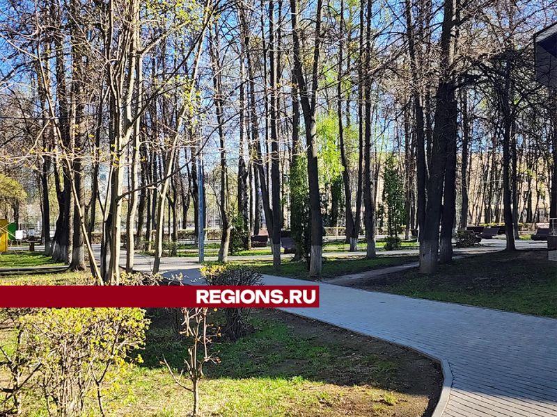 Центральный городской парк готовится  к открытию летнего сезона Новости Королёва 