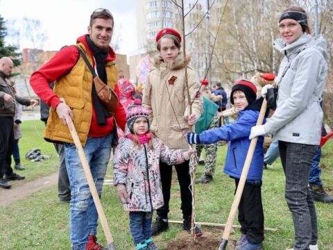 В День добрых дел жители Королева высадят деревья на общественных пространствах Новости Королёва 