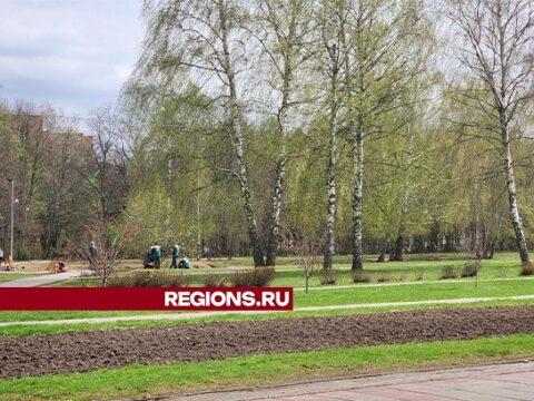Жители вместе наведут чистоту и порядок в наукограде 27 апреля Новости Королёва 