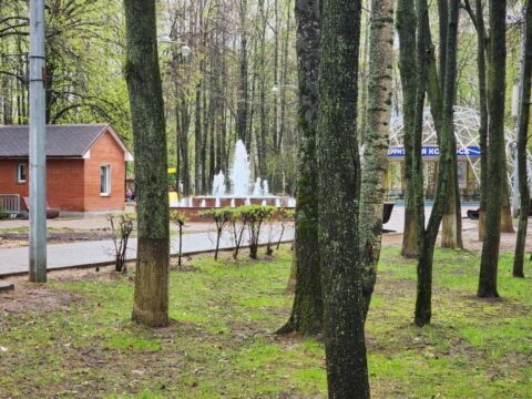 В парках Королева май встречают летними активностями Новости Королёва 